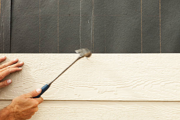 Best Engineered Wood Siding  in Oak Park, MI